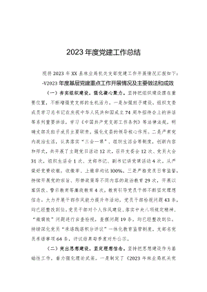 2023年度党建工作总结.docx