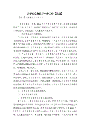 关于巡察整改下一步工作【四篇】.docx