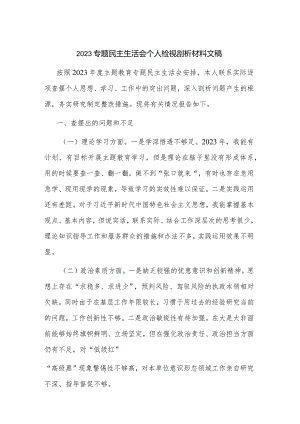 2023专题民主生活会个人检视剖析材料文稿.docx