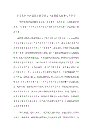 学习贯彻中央经济工作会议9个方面重点部署心得体会.docx