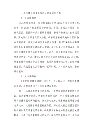 我国建设质量强国的举措进展与问题建议宣讲稿.docx