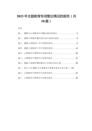 2023年专题教育专项整治情况的报告（共10篇）.docx