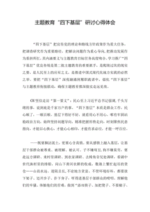 主题教育 “四下基层” 研讨心得体会.docx