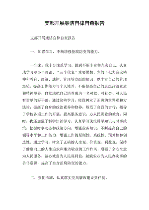 支部开展廉洁自律自查报告.docx
