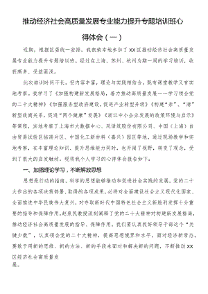 推动经济社会高质量发展专业能力提升专题培训班心得体会（一）.docx