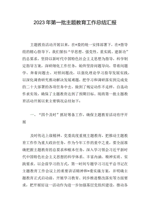 2023年第一批主题教育工作总结汇报.docx