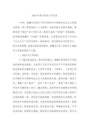 2023年度乡政府工作汇报.docx