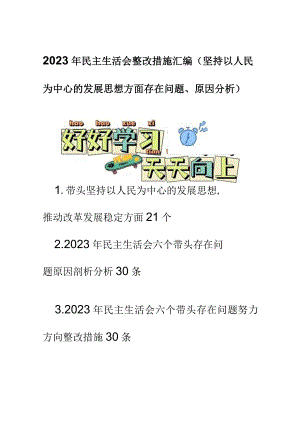 2023年民主生活会整改措施汇编.docx