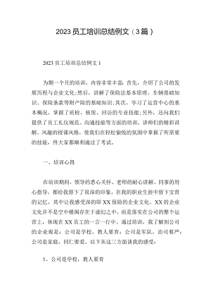 2023员工培训总结例文(3篇).docx