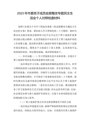 2023年市委班子成员巡察整改专题民主生活会个人对照检查材料.docx