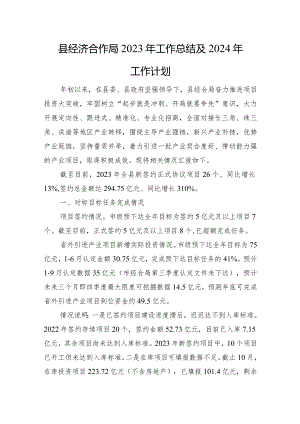 县经济合作局2023年工作总结及2024年工作计划.docx