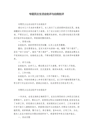 专题民主生活会批评与自我批评.docx