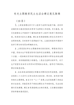 有关主题教育民主生活会建议意见（18条）.docx