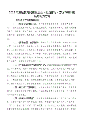2023年专题教育民主生活会“担当作为”方面存在问题后附努力方向.docx
