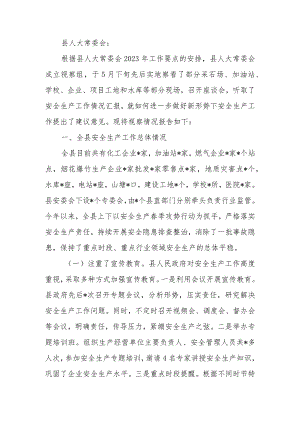 关于全县安全生产工作情况的视察报告.docx