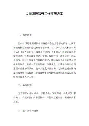 X局职级晋升工作实施方案.docx