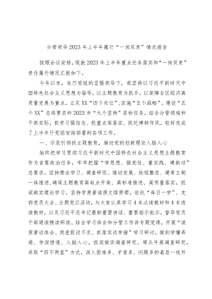 分管领导2023年上半年履行“一岗双责”情况报告.docx