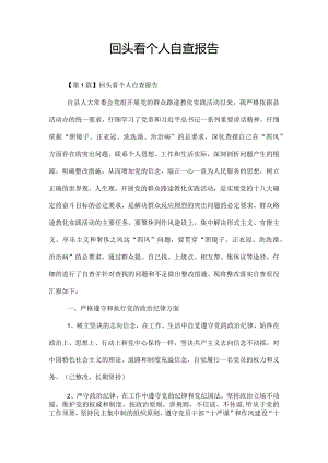回头看个人自查报告.docx