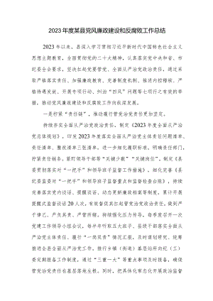 2023-2024年度某县党风廉政建设和反腐败工作总结.docx