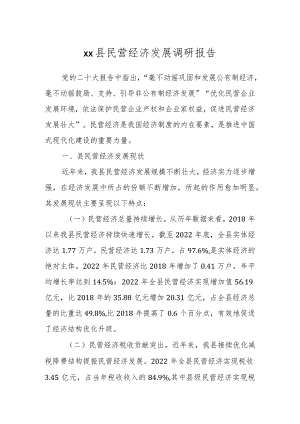 XX县民营经济发展调研报告.docx