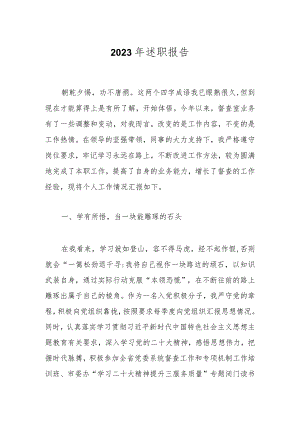 2023年述职报告.docx