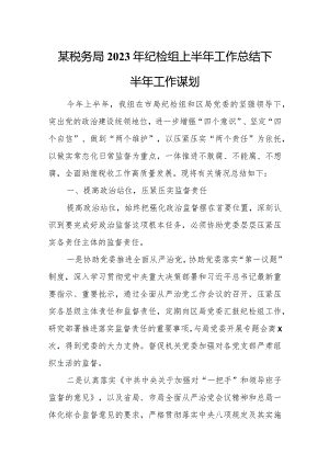某税务局2023年纪检组上半年工作总结下半年工作谋划.docx