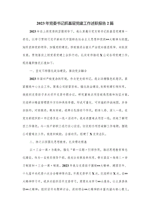 2023年党委书记抓基层党建工作述职报告2篇.docx