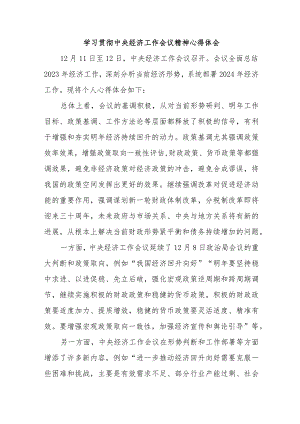 三甲医院医生《学习贯彻中央经济》工作会议精神心得体会（汇编4份）.docx
