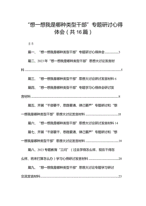 “想一想我是哪种类型干部”专题研讨心得体会最新版16篇合辑.docx