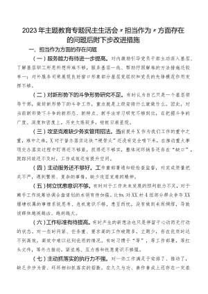 2023年集中教育专题民主生活会“担当作为”方面存在的问题后附下步改进措施.docx