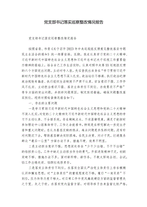 党支部书记落实巡察整改情况报告.docx