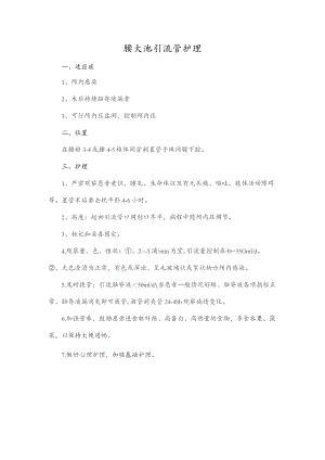 腰大池引流管护理.docx