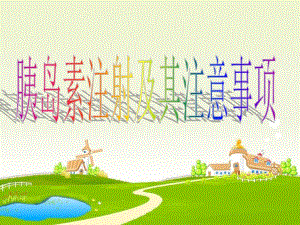 胰岛素注射及其注意事项.ppt
