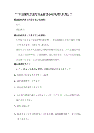 模板：科室医疗质量与安全管理小组成员及职责分工.docx