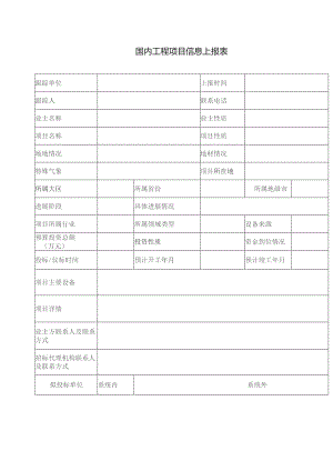 国内工程项目信息上报表.docx