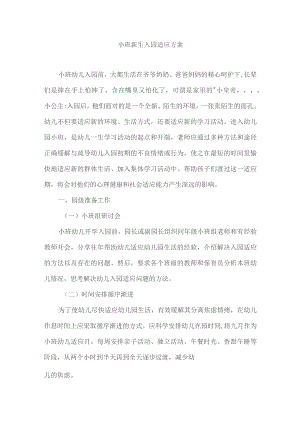 小班新生入园适应方案.docx