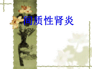 间质性肾炎.ppt