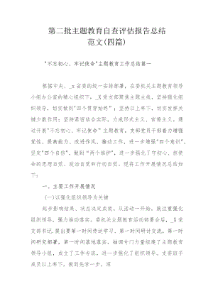 第二批主题教育自查评估报告总结范文（四篇）.docx