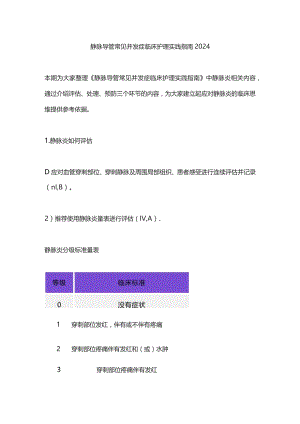 静脉导管常见并发症临床护理实践指南2024.docx