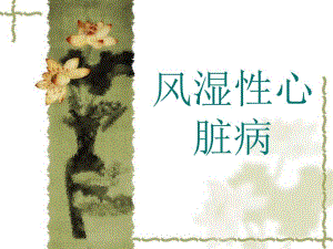 风湿性心脏病PPT.ppt