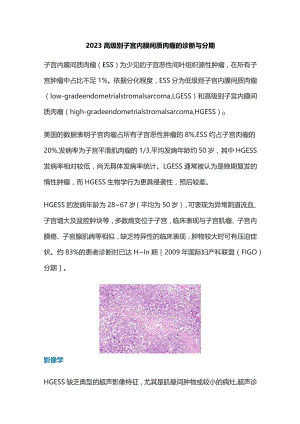 2023高级别子宫内膜间质肉瘤的诊断与分期.docx