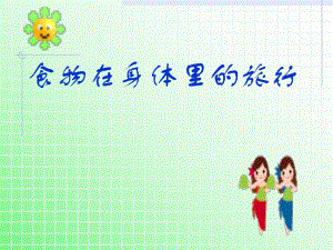 食物的消化.ppt