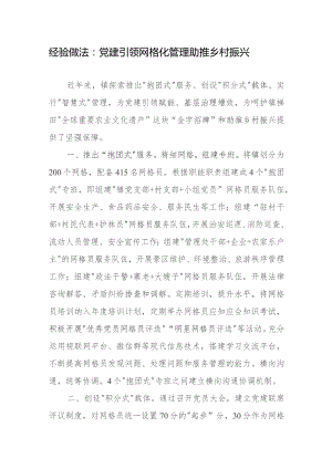 经验做法：党建引领网格化管理 助推乡村振兴.docx