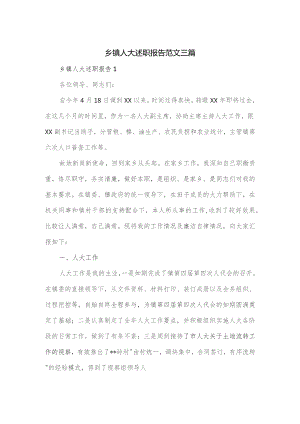 2023乡镇人大述职报告范文三篇.docx