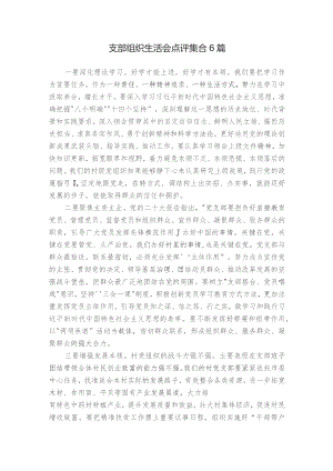 支部组织生活会点评集合6篇.docx