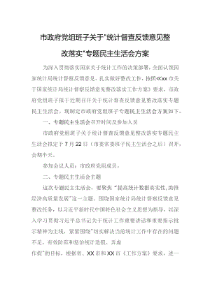 市政府党组班子关于“统计督查反馈意见整改落实”专题民主生活会方案.docx