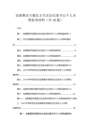 （12篇）巡察整改专题民主生活会纪委书记个人对照检查材料合集.docx