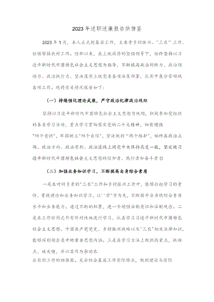2023年述职述廉报告供借鉴.docx
