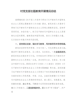 村党支部主题教育开展情况总结.docx