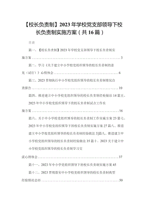 【校长负责制】2023年学校党支部领导下校长负责制实施方案（共16篇）.docx
